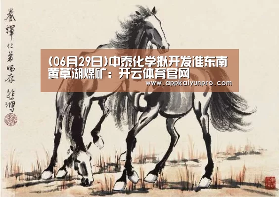 (06月29日)中泰化学拟开发准东南黄草湖煤矿:开云体育官网(图3) 开云体育数据中心