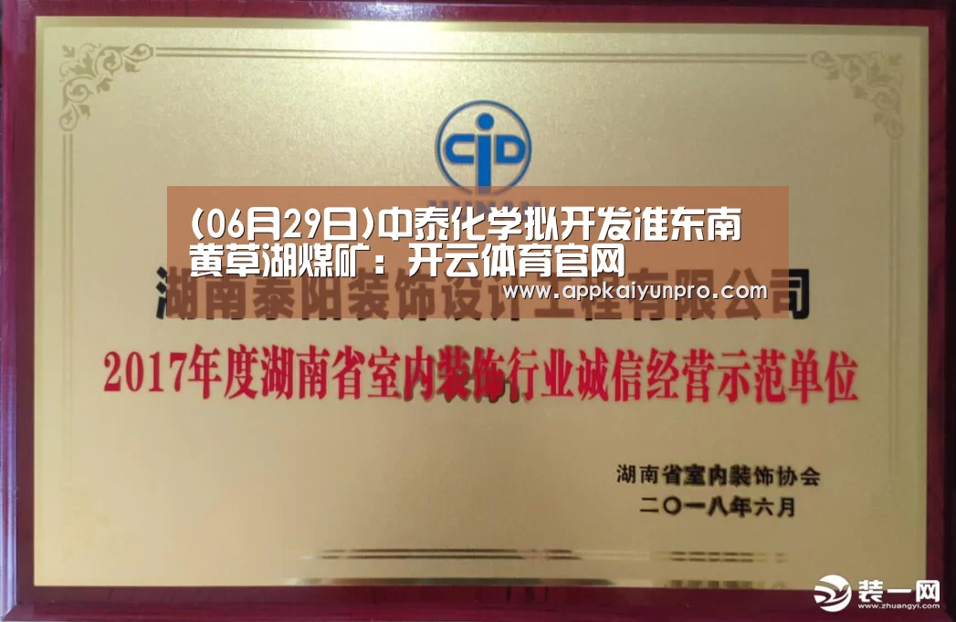 (06月29日)中泰化学拟开发准东南黄草湖煤矿:开云体育官网(图2) 开云体育高清直播