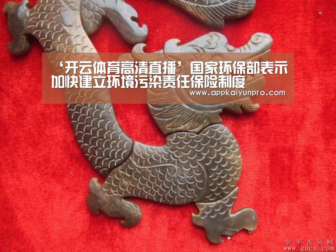 ‘开云体育高清直播’国家环保部表示加快建立环境污染责任保险制度(图1) 开云体育官方