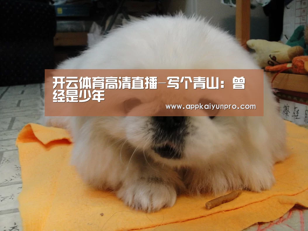 开云体育高清直播-写个青山:曾经是少年(图2) 开云体育高清直播