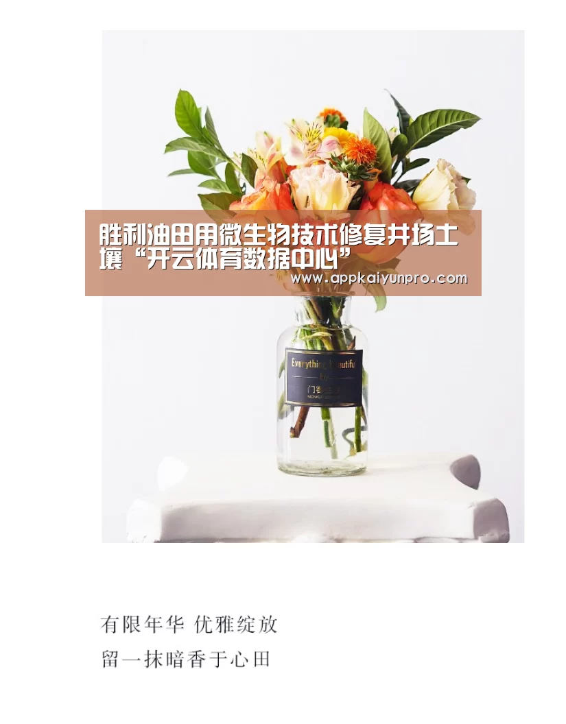 胜利油田用微生物技术修复井场土壤“开云体育数据中心”(图4) 开云体育数据中心