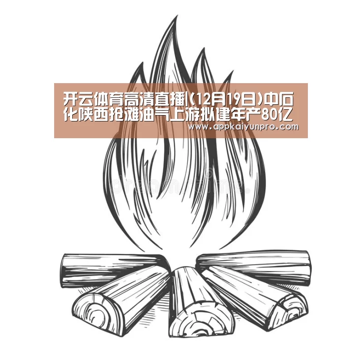 开云体育高清直播|(12月19日)中石化陕西抢滩油气上游拟建年产80亿立方煤制气项目(图1) 开云体育官网
