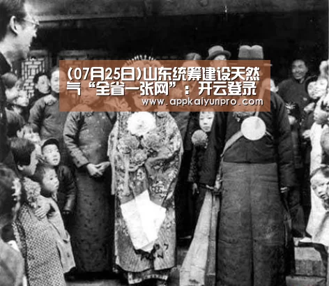 (07月25日)山东统筹建设天然气“全省一张网”:开云登录(图2) 开云登录