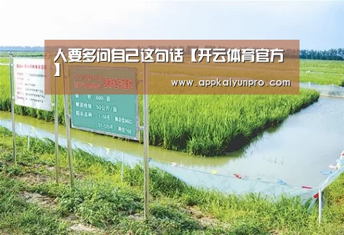 人要多问自己这句话【开云体育官方】(图1) 开云体育官方