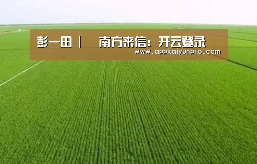 开云体育官网