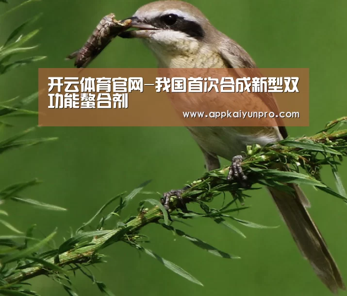 开云体育官网-我国首次合成新型双功能螯合剂(图1) 开云体育数据中心