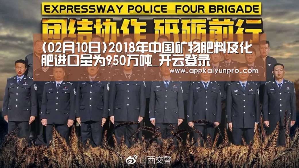 开云登录