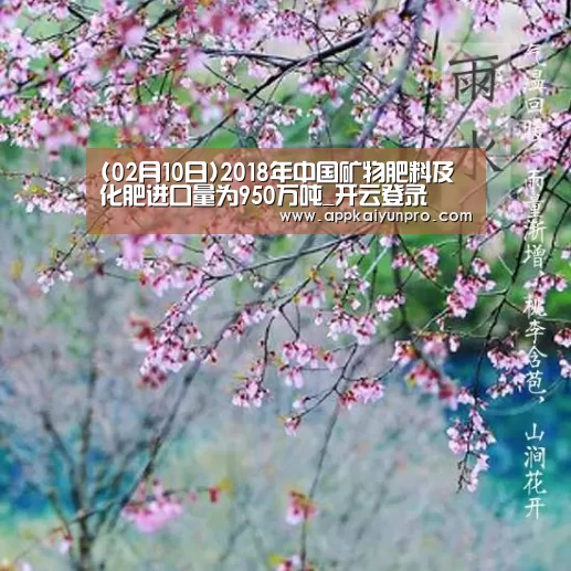 开云体育官网