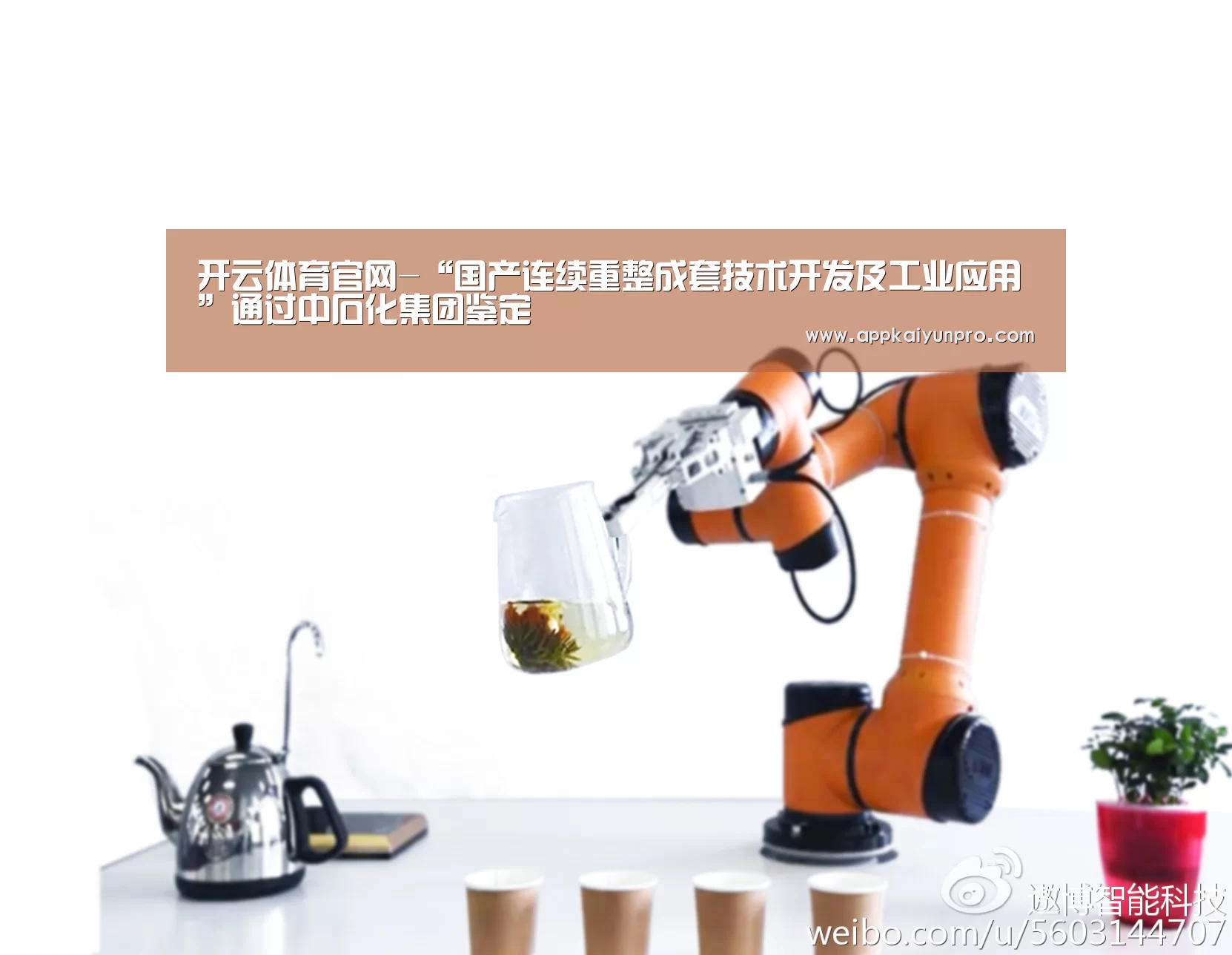 开云体育官网-“国产连续重整成套技术开发及工业应用”通过中石化集团鉴定(图4) 开云登录