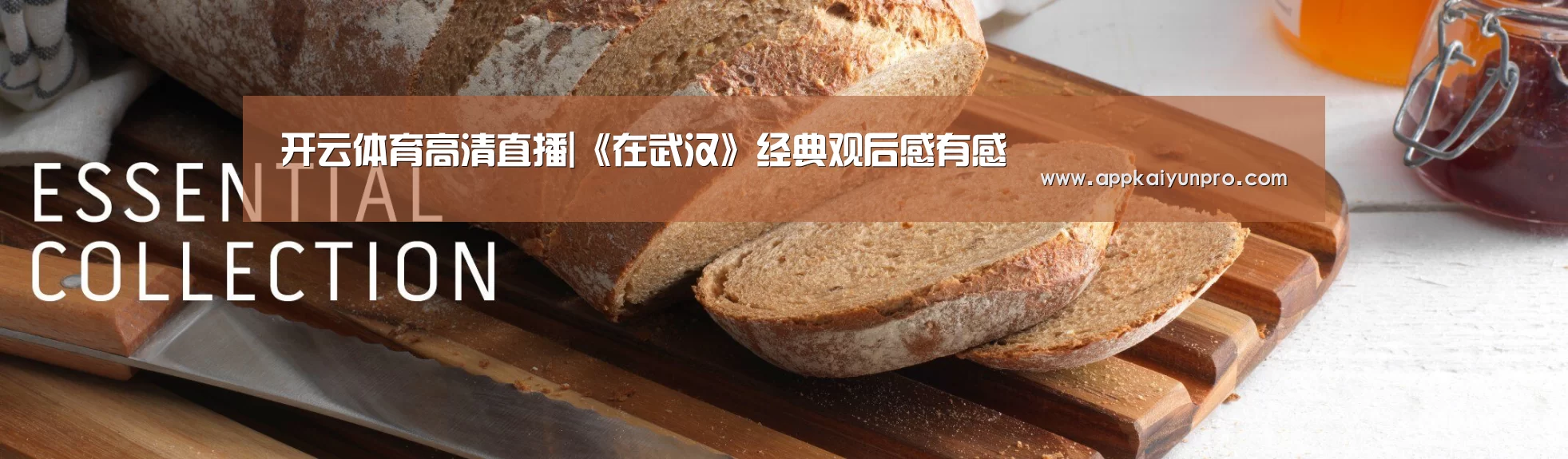 开云体育高清直播|《在武汉》经典观后感有感(图2) 开云体育官网