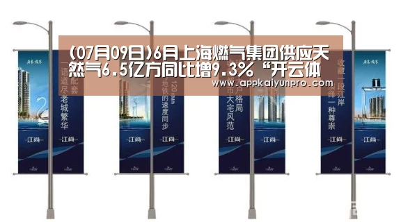 (07月09日)6月上海燃气集团供应天然气6.5亿方同比增9.3%“开云体育官网”(图1) 开云登录