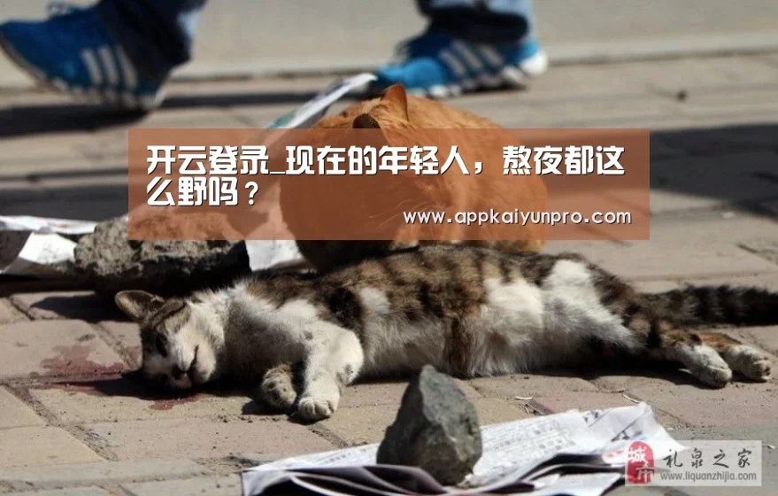 开云登录_现在的年轻人,熬夜都这么野吗?(图1) 开云体育高清直播